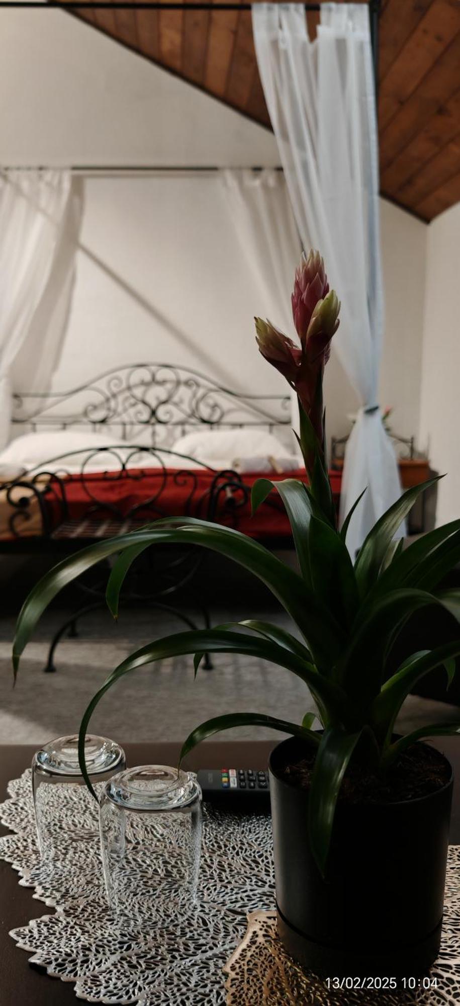 Hotel Plzensky Dvur Frýdek-Místek Kültér fotó
