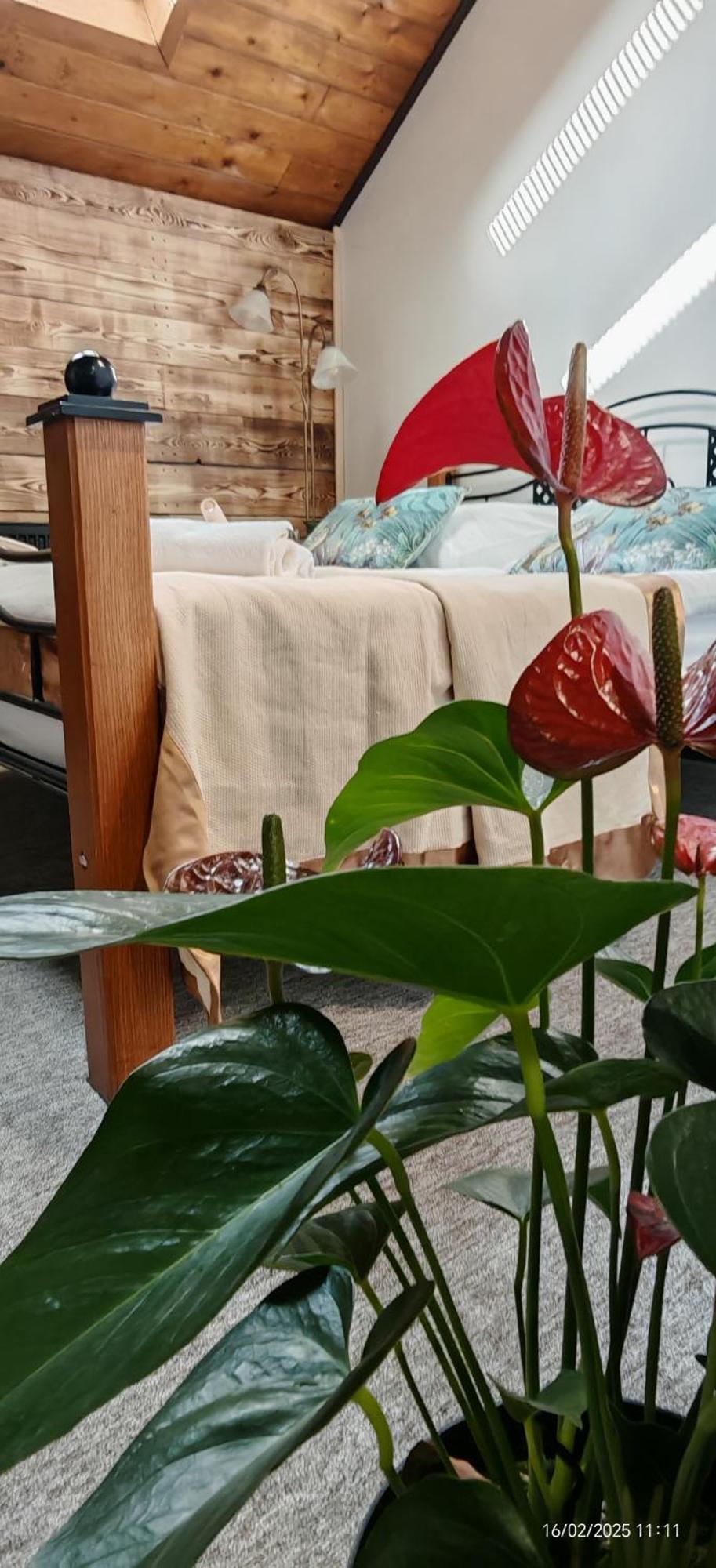 Hotel Plzensky Dvur Frýdek-Místek Kültér fotó